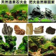 수석 명석 관상용 돌 어항조경석산세청룡석가산수초항아리장식석송피석천연원석덩어리