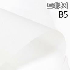 b5트레이싱지