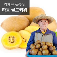 새콤달콤 제철 하동 골드키위5kg(61-80과)(중과), 1개, 상세 설명 참조