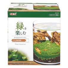 GEX 실린더 원통형 테라리움 유리병, 1개