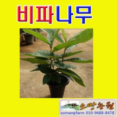 6e2dad7ab009a0ee2adbbd8c7b36af0d45b7808210c67bba0ce036ffb7e0.png