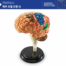 러닝리소스뇌