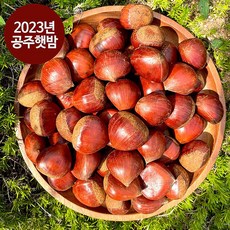 2023년 공주 햇밤 대사이즈 4kg, 2kg