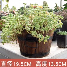 4eab81d3b180a1c656c503fbc6d4d4ffe89d65e4aac59c7d0503b2a5f98b.jpg
