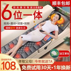 일월프리미엄진동마사지매트