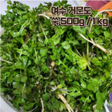 여수 거문도 해풍 쑥 생쑥 500g 1kg, 1개