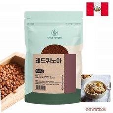 청치