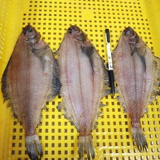 강원도 고성 자연산 손질/미손질 가자미 반건조 가자미 500g/1kg/2kg, 01_ 급냉 미손질 자연산가자미 2kg, 1개