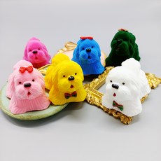 백일반지케이스