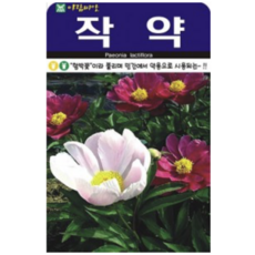 19fae4db85950d001ad3312992fd350e2f3ba19aec05e92410ac8c53ee7b.png