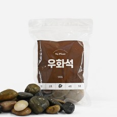 마이플랜트 우화석 5kg, 2호(10~20mm), 1개
