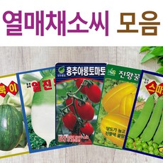 수련화 TOP01
