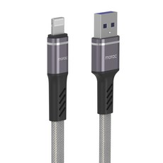 라이트닝충전독