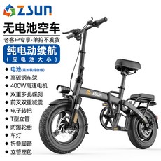 zsun전기자전거