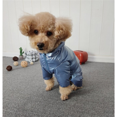 이지웨어패딩강아지