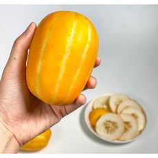 성주참외당도보장10kg