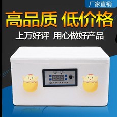 해외에그