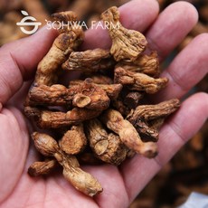 국산 둥굴레차 100g 볶은 둥글레차, 1개, 1개입