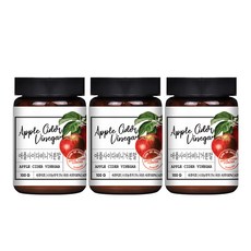 애플사이다비니거 분말, 3개, 100g
