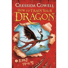 드래곤길들이기