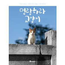 고양이집에얹혀살아요