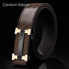 와일드브릭스벨트