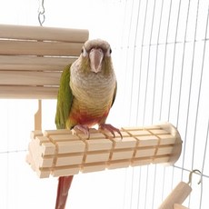 앵파크 앵무새 쿠키 횃대 18cm 1pcs, 1개