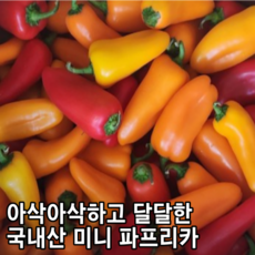 [국내산/국산] 아삭아삭 직접 재배한 미니파프리카 200g 500g 1kg 2kg 달달한 간식용 미니 파프리카 스낵파프리카 다이어트 베이비 스낵 애기 꼬마 한입채소 미니채소, 1개