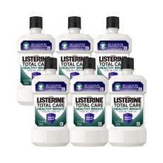 리스테린 토탈 헬씨 브라이트 250ml 6개 코스트코 코스메틱 화장품 선물 여름 겨울