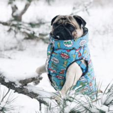 강아지 겨울용 투버튼 생활방수 산책용 슈퍼맨 배트맨 카툰 패딩 애견 조끼, 제이엘 블루