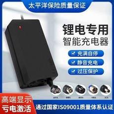 리튬 배터리 전기 삼륜차 충전기 48V36V60V24V2A72V 농업용카트 삼륜오토바이 베터리, 고급형 48V2A DC 헤드