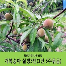 e4929434a126f724ecfe541b5eafe80c428a3128c2c259aff5b4015974a3.jpg