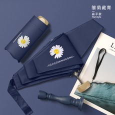 메트로시티데이지양산