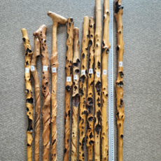 연수목 주장자 감태나무 지팡이, 1개, 옻칠