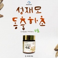 [성재모동충하초] 비로, 2개