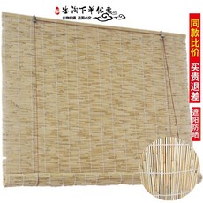그늘발