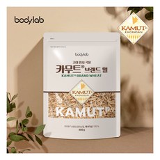 [바디랩 ] [직]카무트 브랜드밀 300g 15팩 (총 4.5kg), 15개