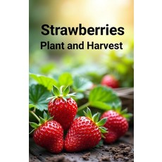 (영문도서)Strawberries: Plant and Harvest: A beginner's and commercial guide to growing de... Paperback, Independently Published, English, 9798288477881