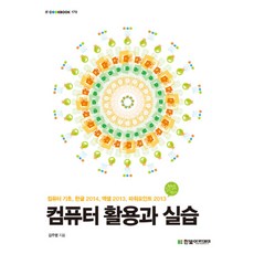 컴퓨터 활용과 실습:컴퓨터 기초 한글 2014 엑셀 2013 파워포인트 2013, 한빛아카데미