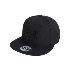 nba스냅백모자