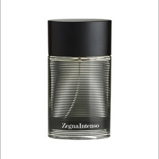 에르메네질도 제냐 제냐 인텐소 오드 뚜왈렛 남성 50ml