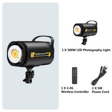 일회용카메라대여