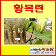 95d8a13f6eeb4b4526853f4d92d0b167e0dfa852dc93f7a3bee37585fefe.jpg