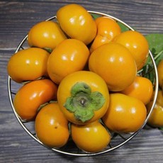 경남 단감 10kg(61-70과), 1개