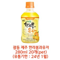 (유통기한24년1월) 광동 제주 한라봉과유자 280ml x 20개(pet), 상세페이지 참조, 상세페이지 참조, 상세페이지 참조