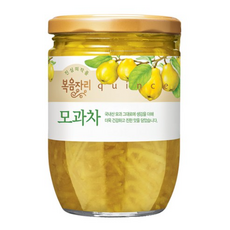 복음자리 모과차, 1개입, 15개