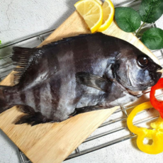 [자연식탁]명품 제주도 자연산 돌돔200g이상(23~25cm) 1미 돌돔, 1팩, 돌돔300g이상(24~27cm) 1미