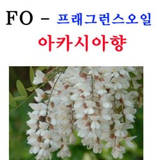 프래그런스오일50ml