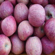 따봉프레시 못생겨도 맛있는 가정용 안동 청송 꿀사과, 1개, 4.5kg