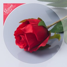 감성인테리어 예쁜 조화 모음 180종 / 플트 조화꽃 B, B01.마가렛장미가지 41cm-레드